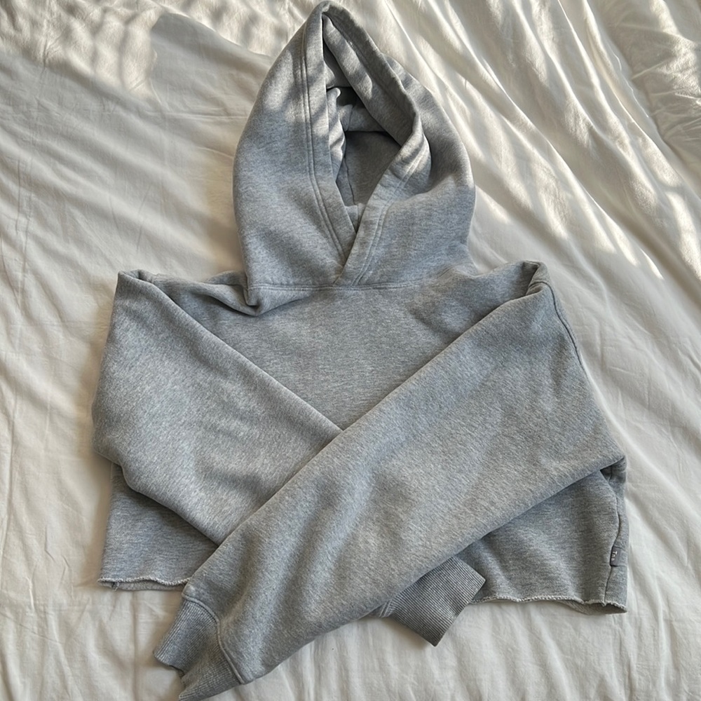 Aritzia tna hoodie cropped